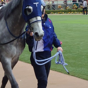 2025/3/8 4歳以上1勝クラス