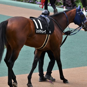 2026/4/26 湘南S(3勝クラス)