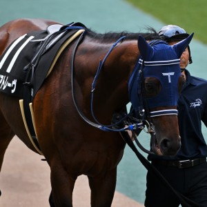 2026/4/26 湘南S(3勝クラス)