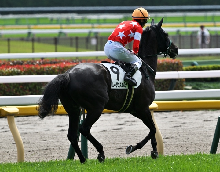 2026/4/26 4歳以上2勝クラス(牝) ルージュスエルテ