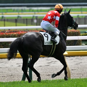 2026/4/26 4歳以上2勝クラス(牝)