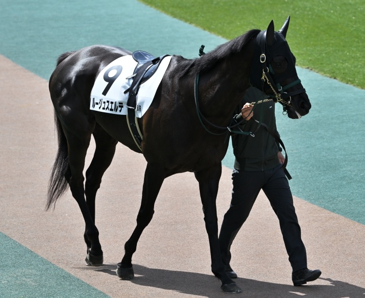 2026/4/26 4歳以上2勝クラス(牝) ルージュスエルテ