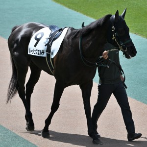 2026/4/26 4歳以上2勝クラス(牝)