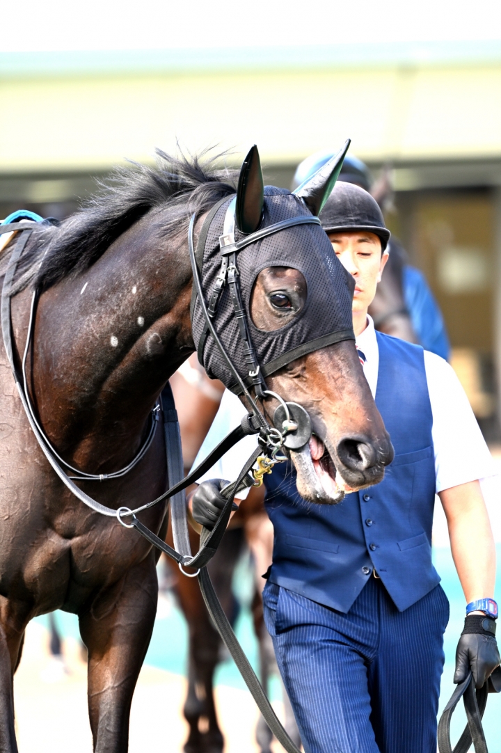 2023/11/18 2歳新馬(牝) ルージュサリナス