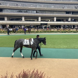 惜しくも4着でした。
