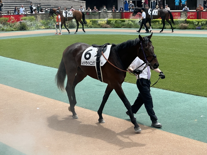 2024年4月 レッドライトニング