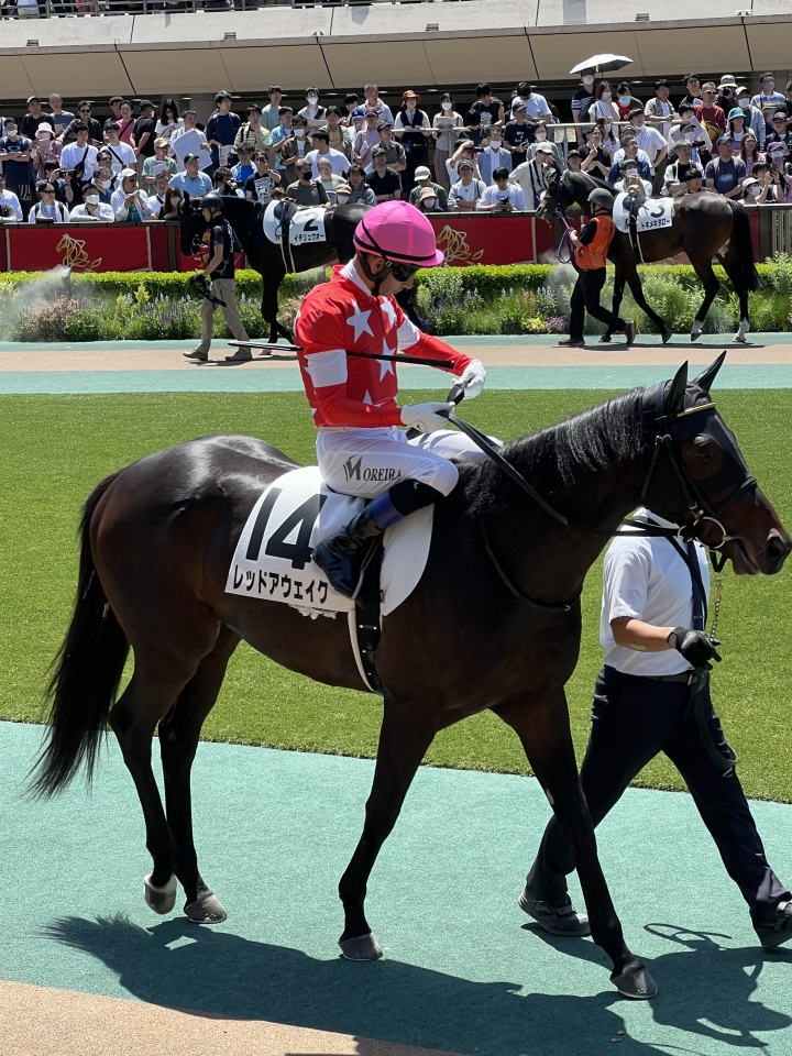 2024/5/5 3歳未勝利 レッドアウェイク