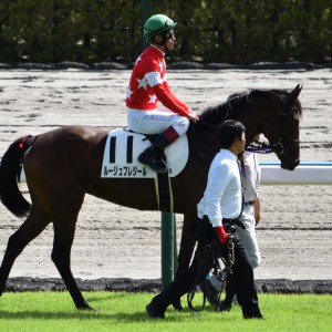 デビュー戦本馬場入場