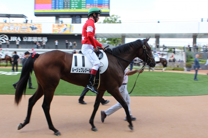 デビュー戦パドック③ ルージュプレジール