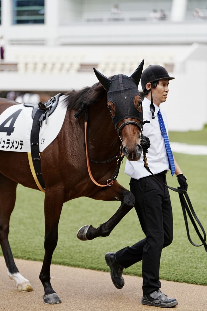 2023/9/30 2歳新馬(牝) ルージュラメンテ