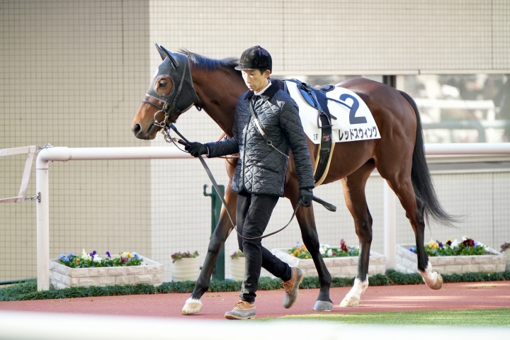 2023/12/24 2歳未勝利 レッドスウィング