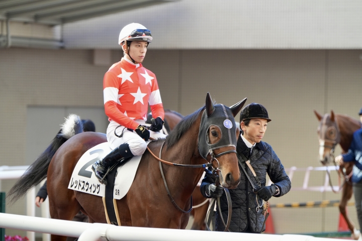 2023/12/24 2歳未勝利 レッドスウィング