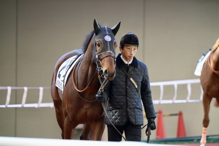 2023/12/24 2歳未勝利 レッドスウィング