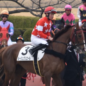 ２戦目本馬場入場