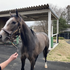 山元トレーニングセンター