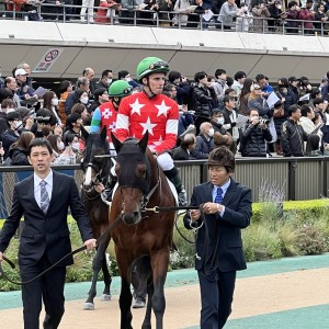 2023/11/25 2歳新馬