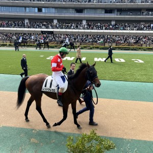2024/2/18 3歳未勝利