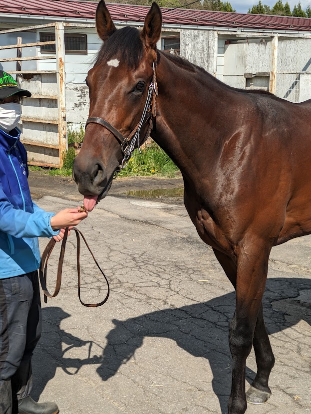 2023年5月 ノルマンディーファーム小野町 ブリッツクリーク