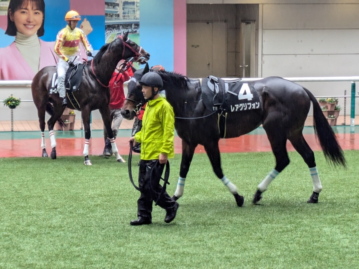 福島11Ｒ フルーツラインカップ　パドック レアグリフォン