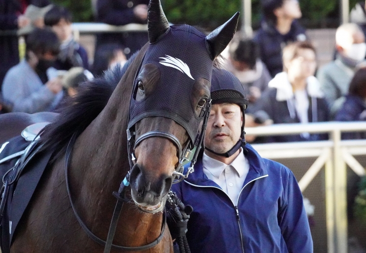 2025/1/26 江戸川S(3勝クラス) レアグリフォン