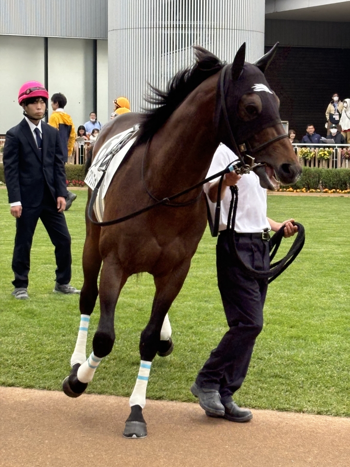 2024/6/9 3歳以上1勝クラス レアグリフォン
