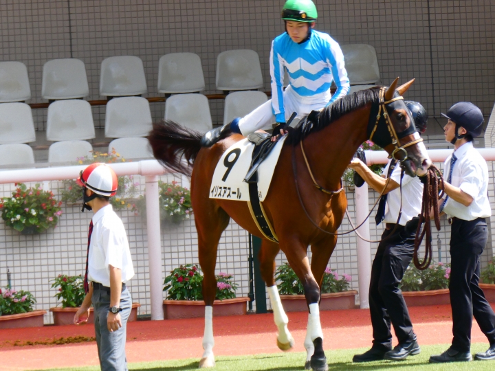 新馬戦　パドック２ イリスアスール