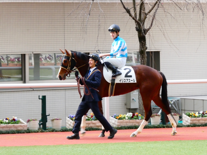 2歳未勝利　優勝　パドック２ イリスアスール