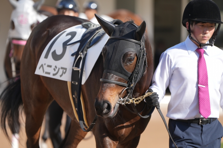 2023/12/16 2歳新馬 ベニシア