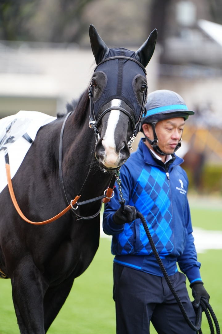 2024/2/4 3歳未勝利 ベルイストワール