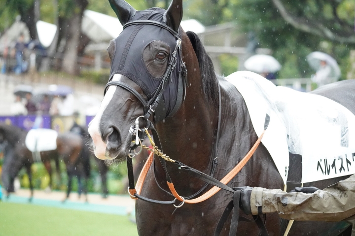 2024/10/5 3歳以上1勝クラス ベルイストワール