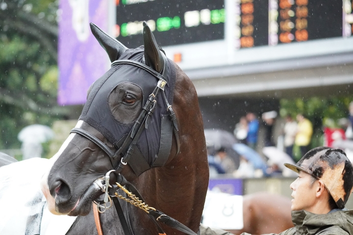 2024/10/5 3歳以上1勝クラス ベルイストワール