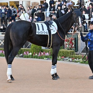 2025年1月