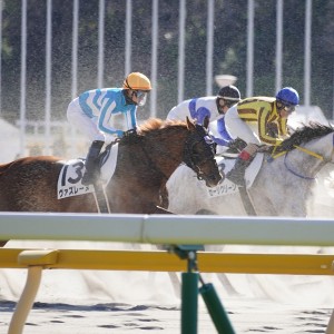 2026/1/31 4歳以上1勝クラス