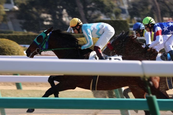 2024年1月 ラフォンターナ