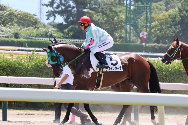 2024年8月 ラフォンターナ