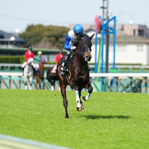 2024/3/30 山吹賞(1勝クラス)