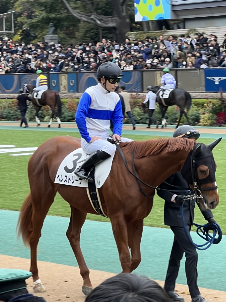 2023/11/26 2歳新馬 ペレストリーナ