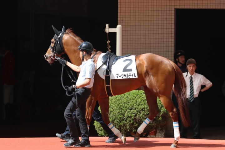 2024年4月 マーシャルテイル