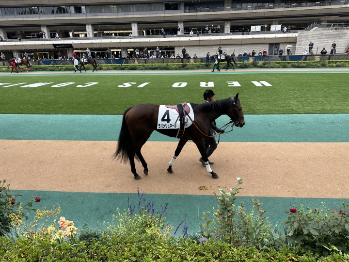 2023年11月 ラパンリュネール