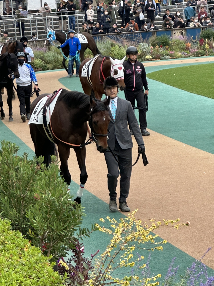 2023/11/12 2歳未勝利(牝) ラパンリュネール