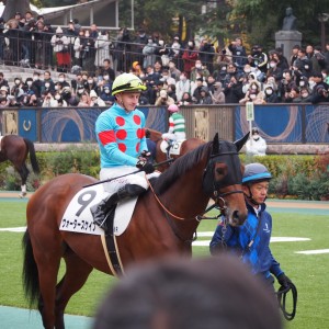 ２歳新馬