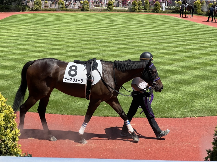 2023年8月 サーマヴェーダ