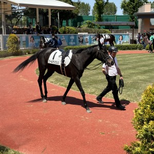 2024/5/4 3歳未勝利(牝)