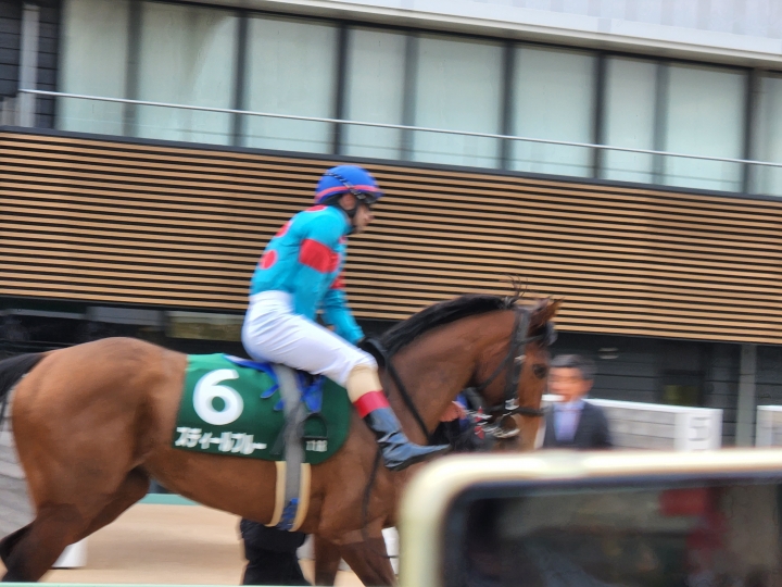 2024/1/7 フェアリーS(G3) スティールブルー