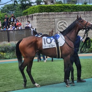 2024/5/25 3歳1勝クラス