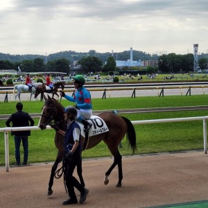 2024/5/25 3歳1勝クラス
