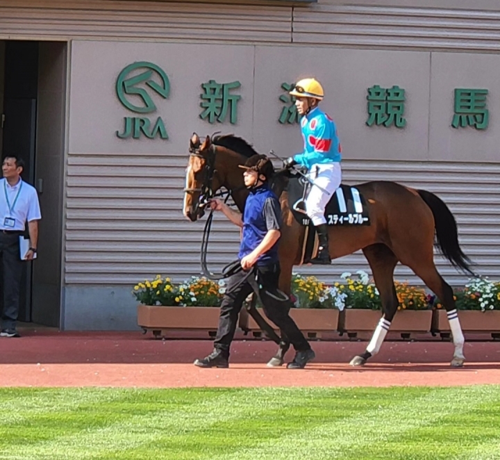 2024/8/10 新発田城特別(2勝クラス) スティールブルー