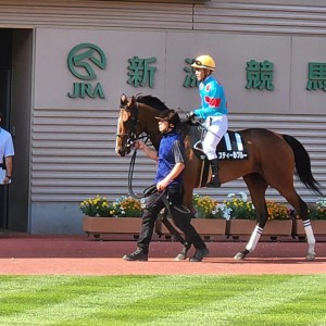 2024/8/10 新発田城特別(2勝クラス)