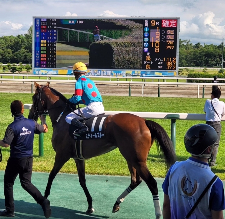 2024/8/10 新発田城特別(2勝クラス) スティールブルー