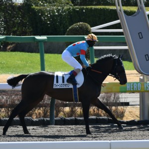 本馬場入場　